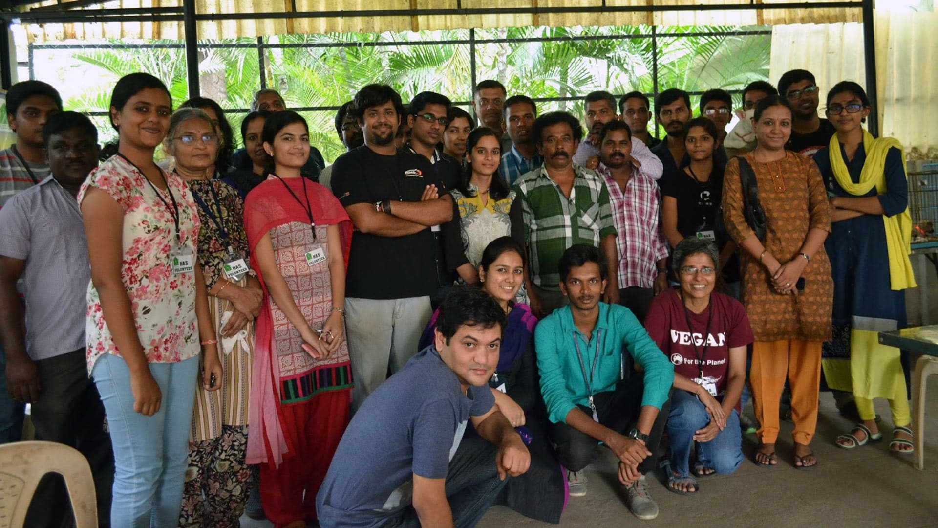 Volunteer with animals